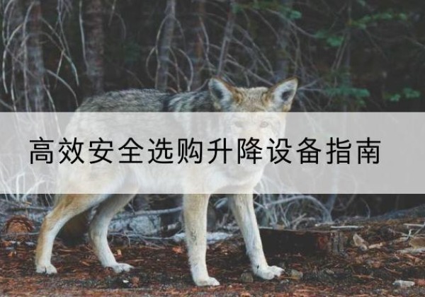 阳东升降货梯厂家推荐-*安全选购升降设备指南