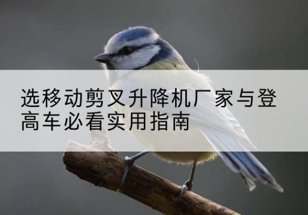 阳东电动升降机厂家-选移动剪叉升降机厂家与登高车必看实用指南