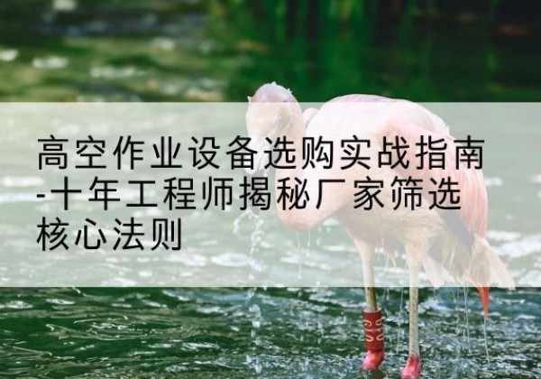 阳东剪叉式升降机厂家-高空作业设备选购实战指南-十年工程师揭秘厂家筛选核心法则