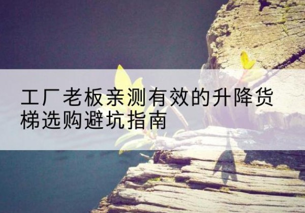 阳东升降货梯怎么选-工厂老板亲测有效的升降货梯选购避坑指南